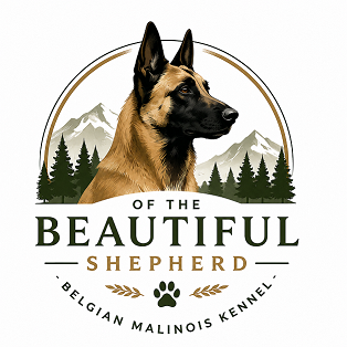 Of the Beautiful Shepherd